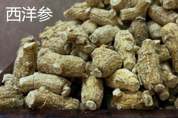 白参是人参吗，是一种食药兼用的珍稀菇菌