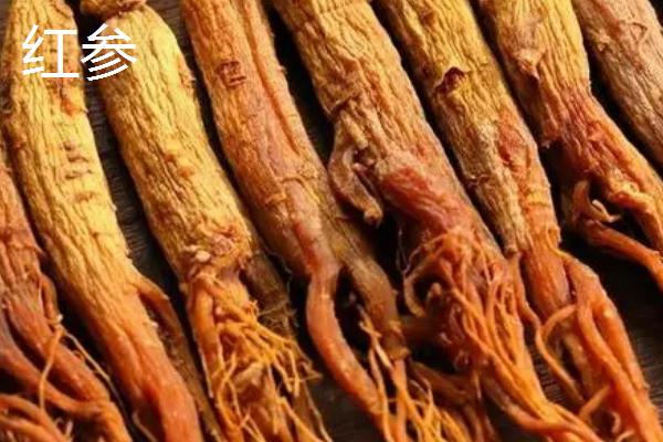 白参是人参吗，是一种食药兼用的珍稀菇菌