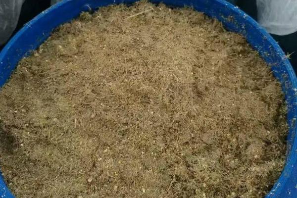 小麦养猪怎么配制饲料，配制比例应根据生长阶段而定