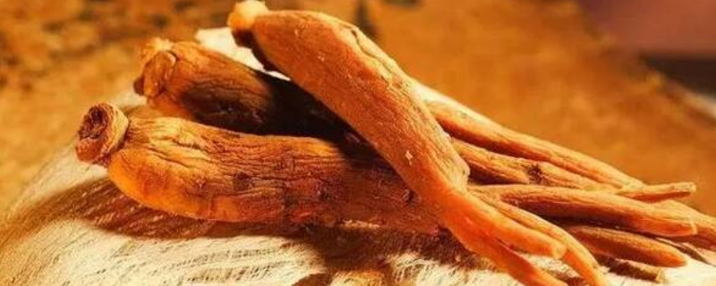 红参和白参的区别