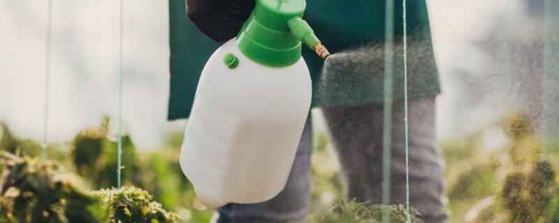 使用二甲戊灵的禁忌