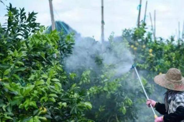 托布津可防治哪些病害，进入植物体内后能转化成多菌灵