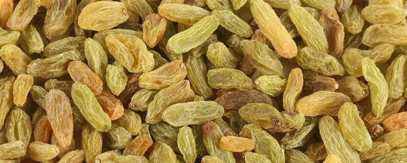 葡萄干生虫怎么办