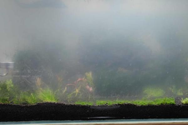 鱼缸盐水配比，饲养海水鱼的比例为3%