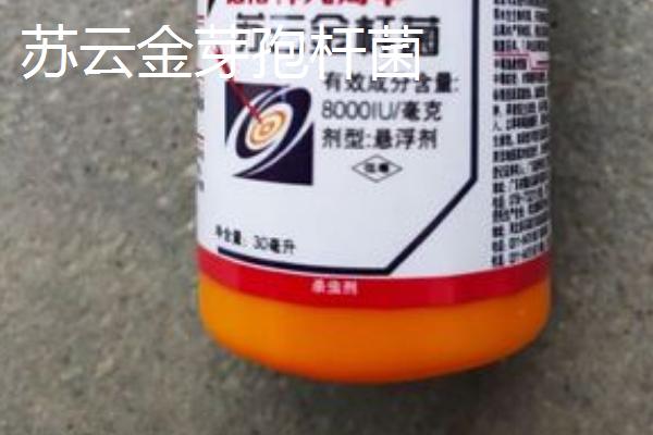 生物有机肥包含哪些有益菌，常见菌种有这7个