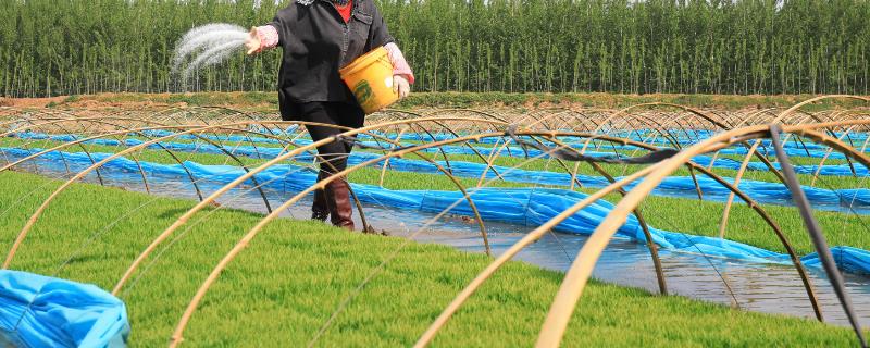 商品硅肥、稀土肥和钛肥的介绍