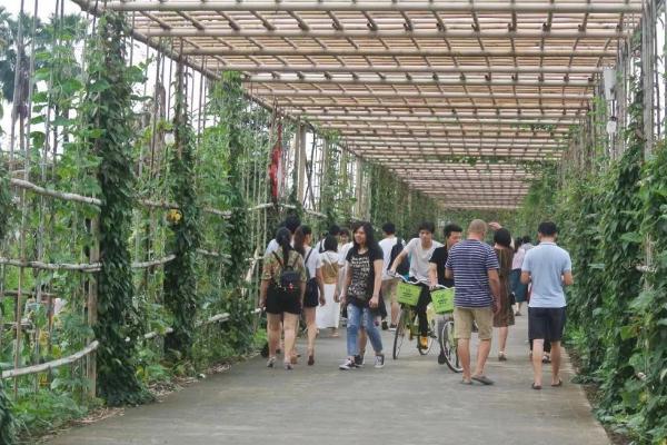 防止果蔬失水的办法，失水会影响品质和耐贮性