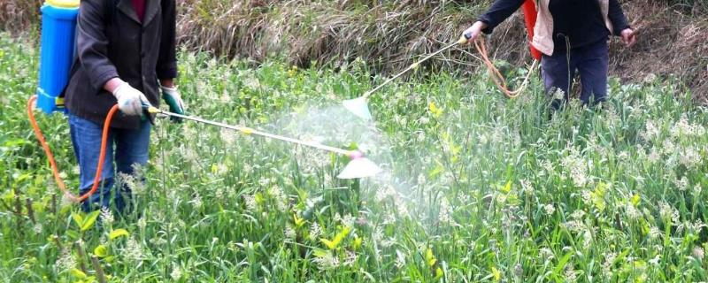 如何正确施用生物农药