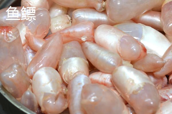 鱼有没有眼皮，眼皮对于水生动物来说意义不大