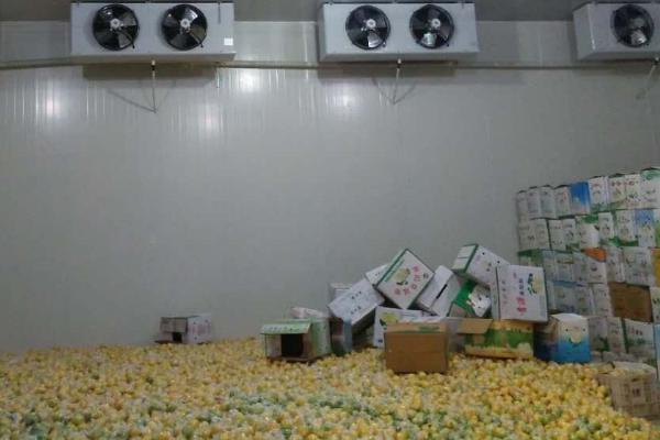 简易果品贮藏方法，主要依靠自然的温度调节