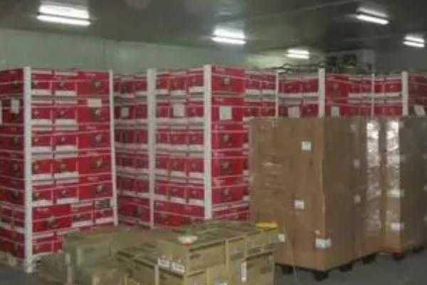 苹果贮藏方法，经过分级包装后可放入冷库中保存