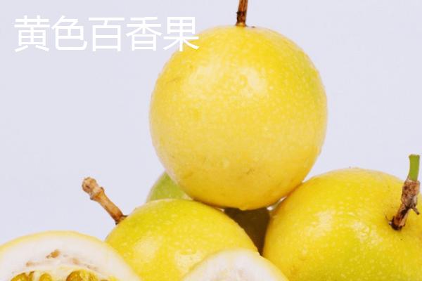 百香果有哪些品种，黄色百香果不宜鲜食