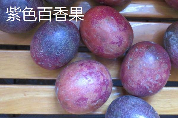 百香果有哪些品种，黄色百香果不宜鲜食