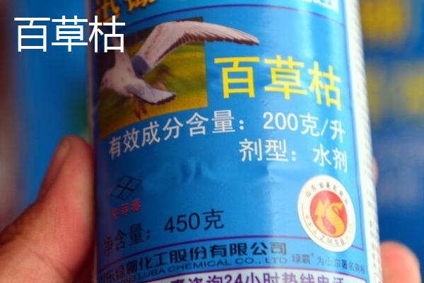 敌草快与百草枯的区别，选择根据需求而定