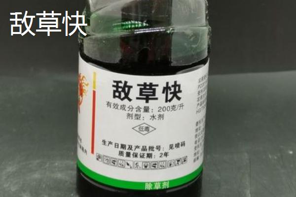 敌草快与百草枯的区别，选择根据需求而定