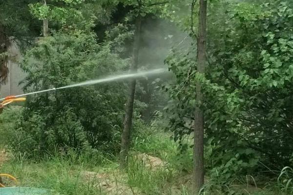 敌草快与百草枯的区别，选择根据需求而定