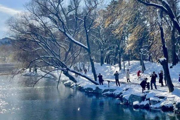 雪后天晴能否钓鱼，水温稳定后更容易钓获
