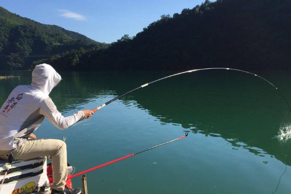 夏天野钓应钓近还是钓远，早上或傍晚均可近钓