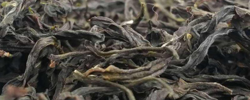 锯朵仔是什么茶