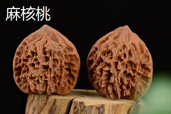 核桃树种多久才能结果，嫁接苗比实生苗更快挂果