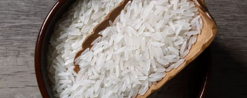 米生黑虫了还能吃吗