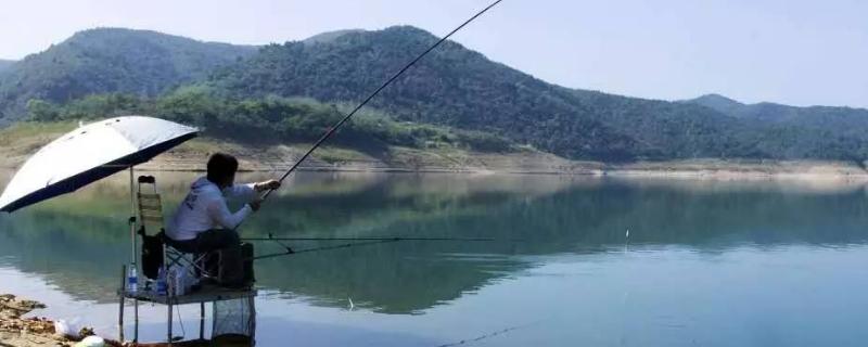 钓鱼怎么绑线