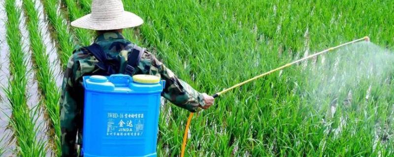 哪种马铃薯除草剂的效果比较好