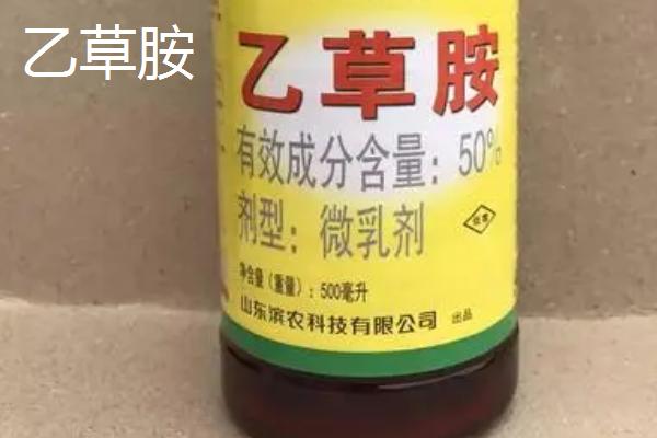 哪种马铃薯除草剂的效果比较好，防治禾本科杂草可使用乙草胺