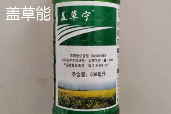 哪种马铃薯除草剂的效果比较好，防治禾本科杂草可使用乙草胺