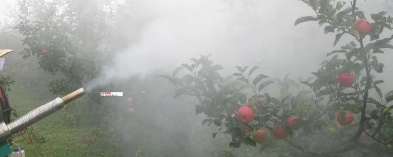 木霉菌功效与作用
