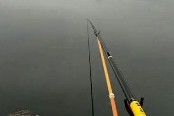 秋钓鳊鱼应钓底还是钓浮，钓底的成功率一般更高