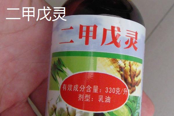 仲丁灵和二甲戊灵的区别，防治对象不同