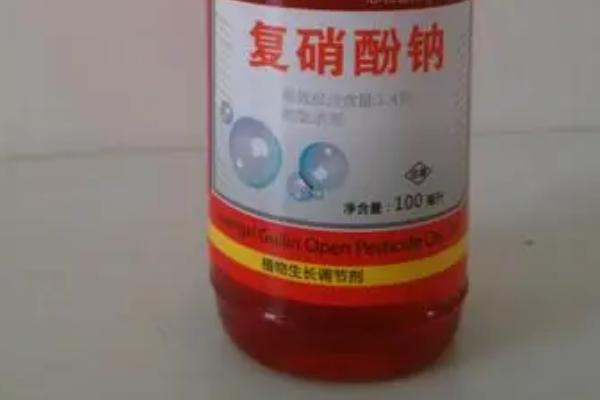各种农药的特点和用法，不同剂型的农药具有较大差异