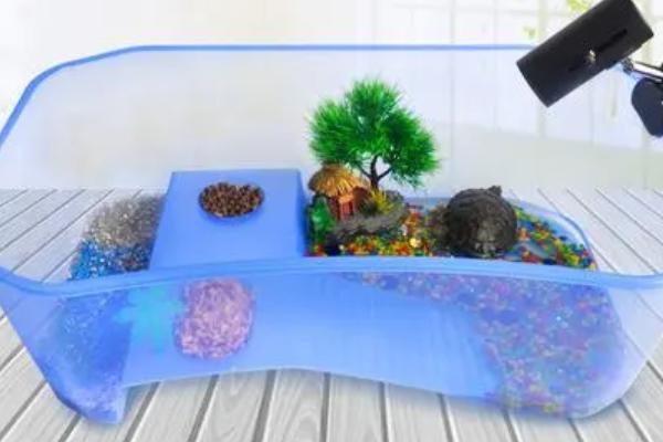 小乌龟带图案是不是有毒，生长期间图案会逐渐脱落