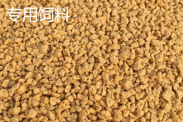 给鸡喂什么能快速生长，适当提供硫酸钠可让鸡长得又快又好