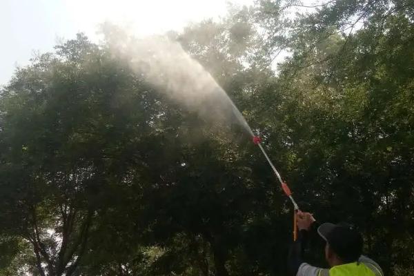 苗木农药怎么控制含量，采取轮作制度可减少用药量
