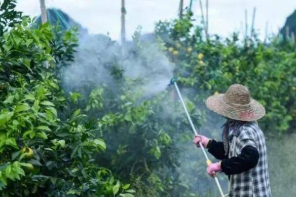 怎么合理控制成本使用农药，重点是要对症用药