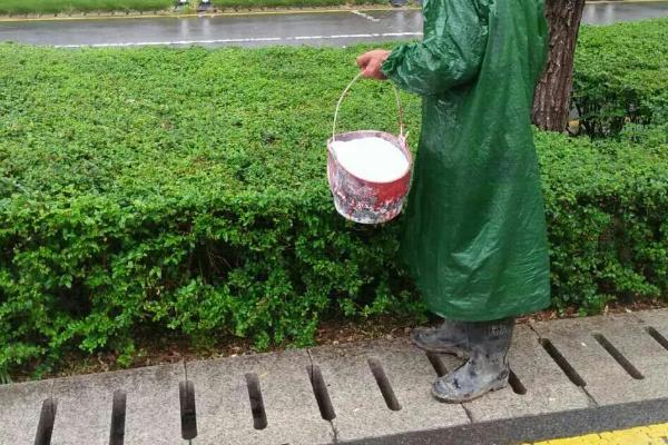 春季绿化苗木施肥方法，磷肥应深施至根系分布密集处