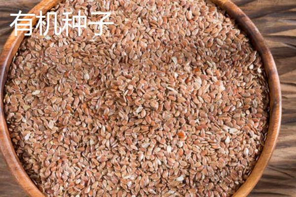 有机种子是什么，属于专门生产的农作物种子