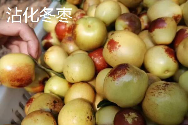 哪个品种的冬枣好吃，根据个人口味选择