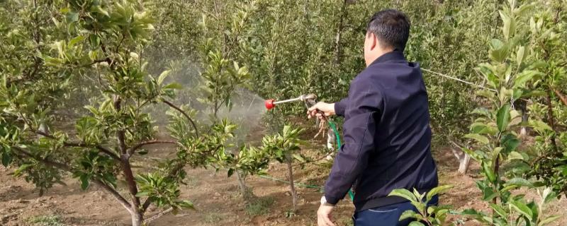 乙蒜素的使用方法