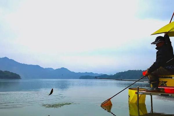 冬天怎么钓鱼，一定要会找鱼