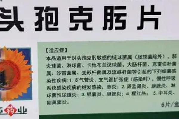 乌龟可以吃什么消炎药，头孢和黄连素均可用