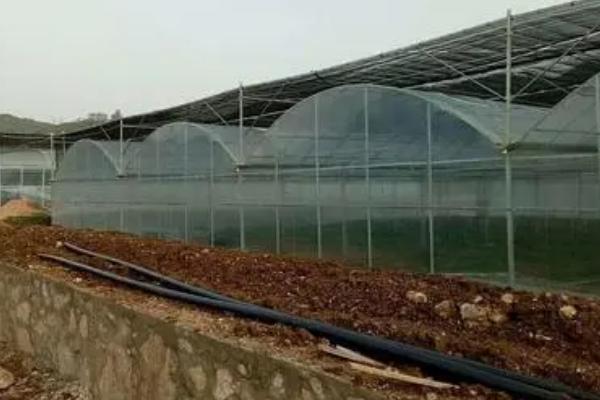 温室大棚的覆膜方法，至少需要20人参与