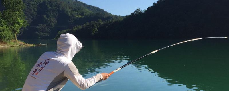 钓鲫鱼选择什么窝料