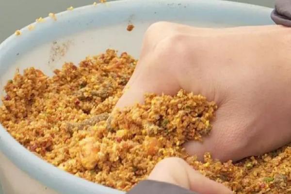 钓鲫鱼选择什么窝料， 可依据季节来选择