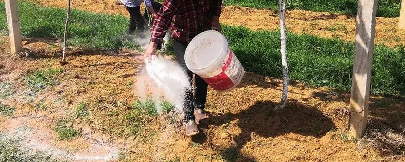 什么是微生物肥料