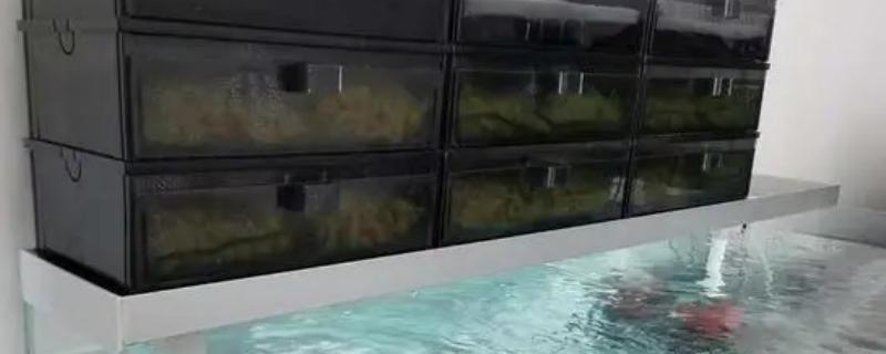 滴流盒和过滤桶哪个效果好