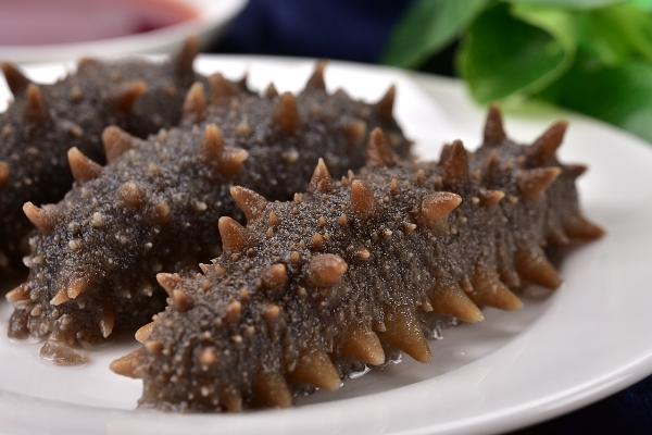 什么是海参，属于楯手目、海参属动物