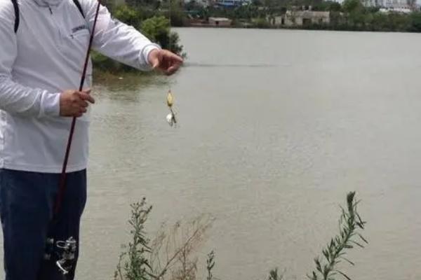 春天路亚钓鱼的最佳时间，中午前后鱼的活性最高